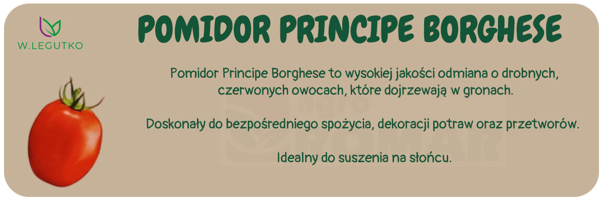 Nasiona pomidora Principe Borghese – odmiana idealna do suszenia i przetworów